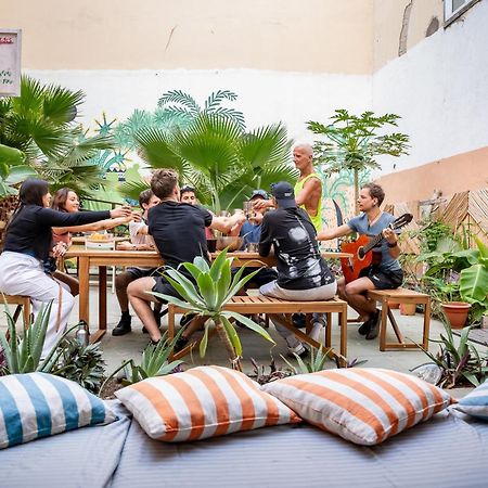 Jungle House Hostel Λας Πάλμας ντε Γκραν Κανάρια Εξωτερικό φωτογραφία