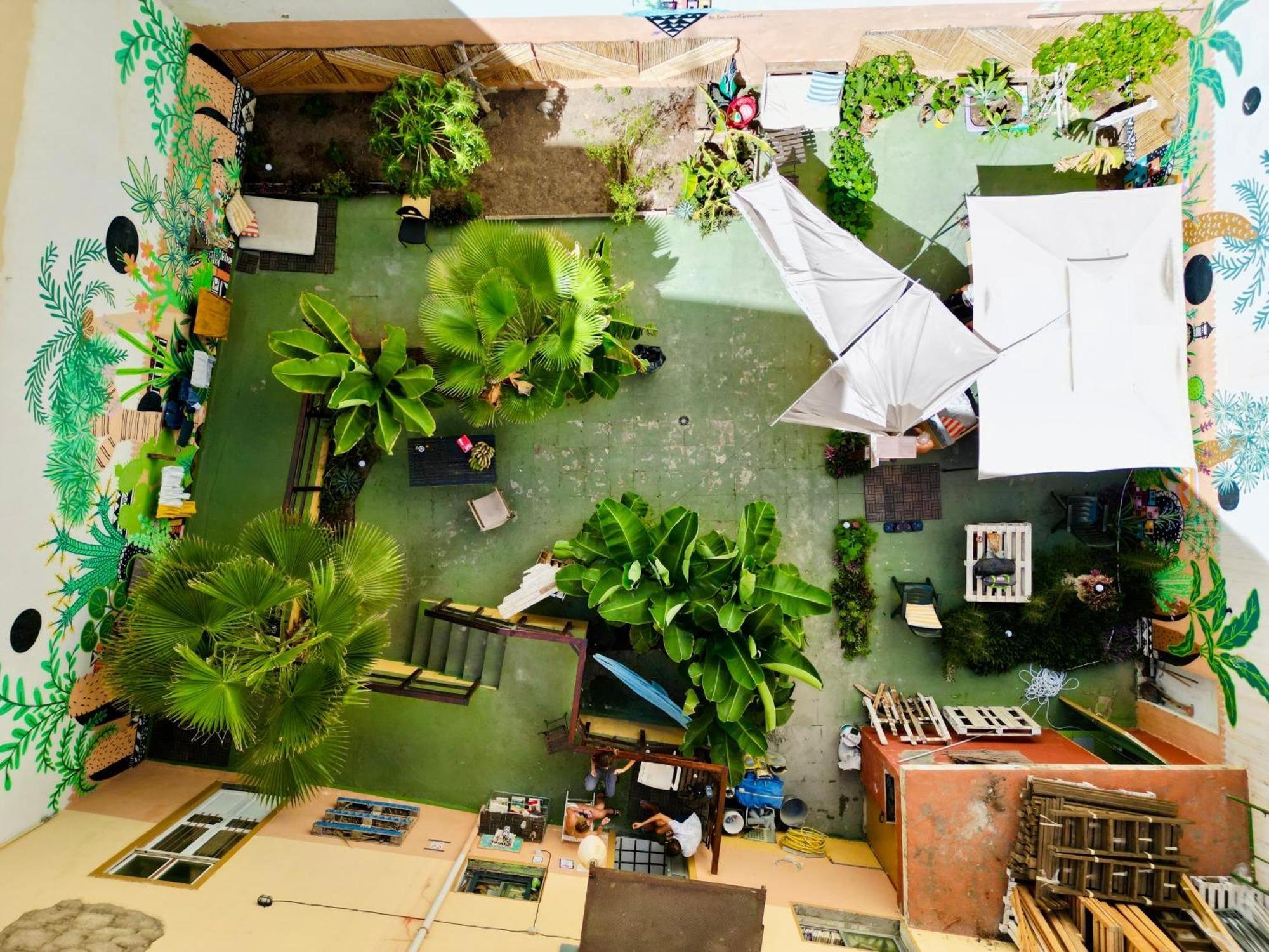 Jungle House Hostel Λας Πάλμας ντε Γκραν Κανάρια Εξωτερικό φωτογραφία